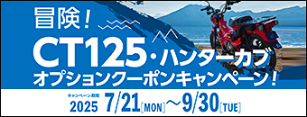鹿児島　２ ホンダ⭐️ライブDIO?2ストロークキャブ車‼️ （グーバイク